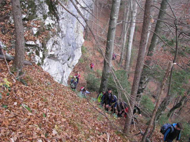 Paski kozjak (nov.2015+ogl.t.) - foto