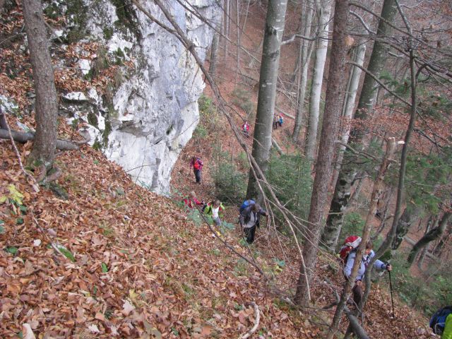 Paski kozjak (nov.2015+ogl.t.) - foto