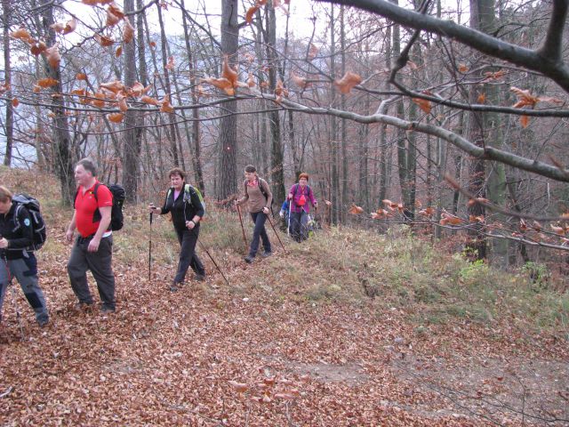 Paski kozjak (nov.2015+ogl.t.) - foto