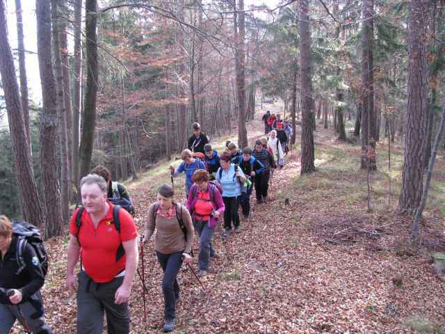 Paski kozjak (nov.2015+ogl.t.) - foto