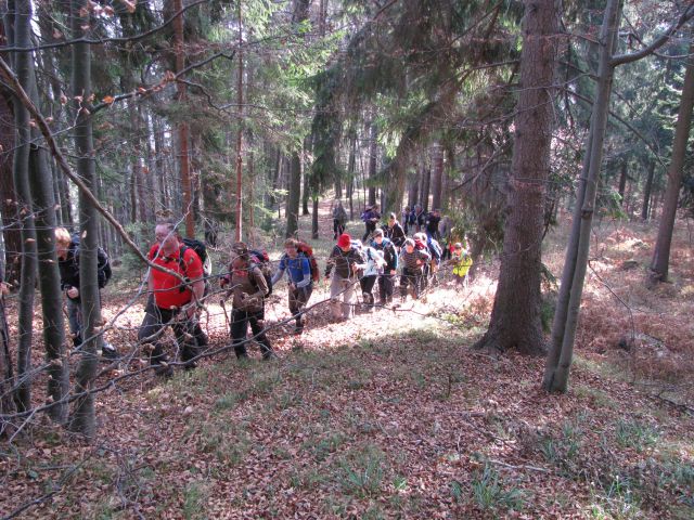 Paski kozjak (nov.2015+ogl.t.) - foto