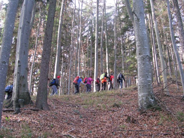 Paski kozjak (nov.2015+ogl.t.) - foto