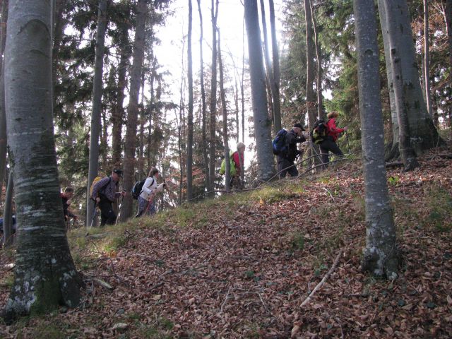 Paski kozjak (nov.2015+ogl.t.) - foto