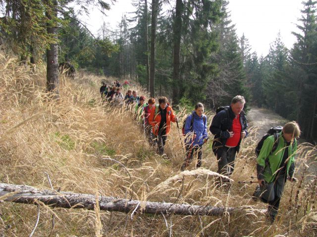 Paski kozjak (nov.2015+ogl.t.) - foto