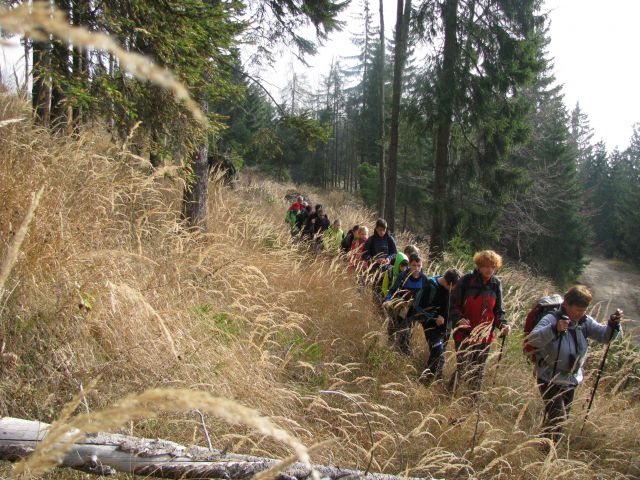 Paski kozjak (nov.2015+ogl.t.) - foto