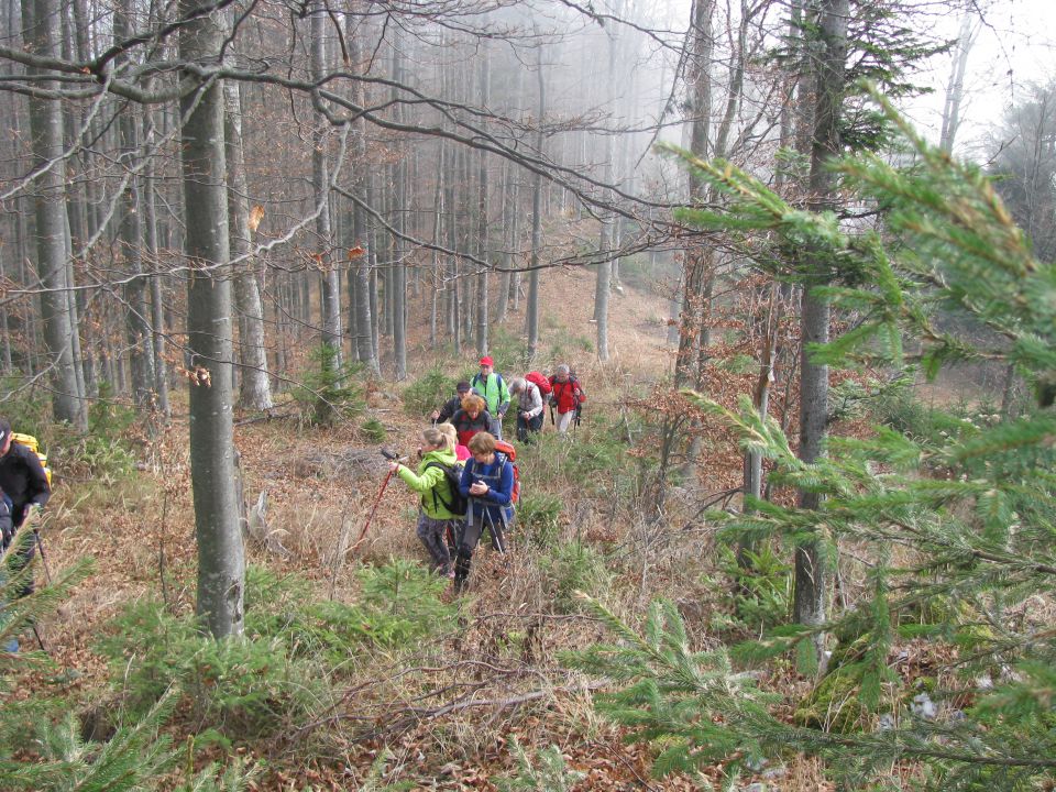 Paski kozjak (nov.2015+ogl.t.) - foto povečava