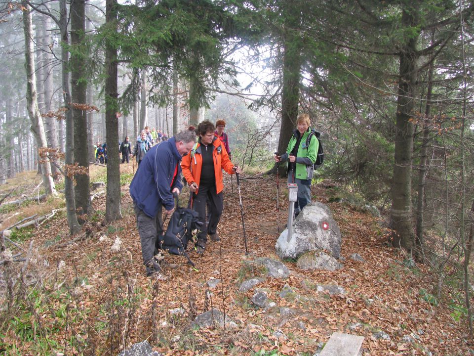 Paski kozjak (nov.2015+ogl.t.) - foto povečava