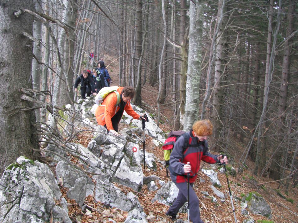 Paski kozjak (nov.2015+ogl.t.) - foto povečava