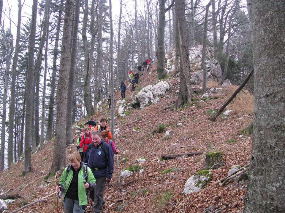 Paski kozjak (nov.2015+ogl.t.) - foto povečava