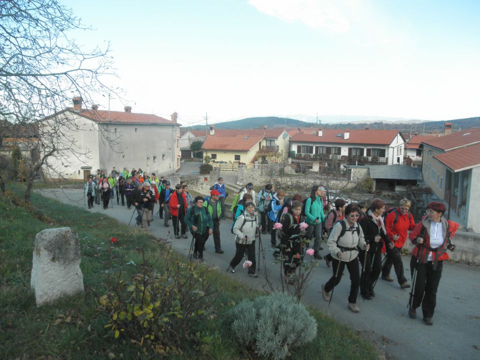 Stari tabor in kokoš (nov.2015) - foto povečava