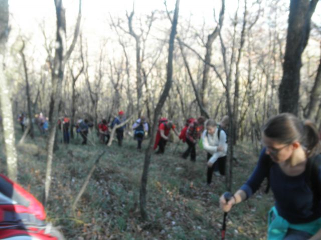 Stari tabor in kokoš (nov.2015) - foto