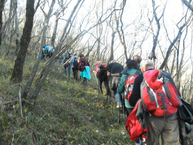 Stari tabor in kokoš (nov.2015) - foto