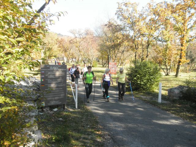 Stari tabor in kokoš (nov.2015) - foto