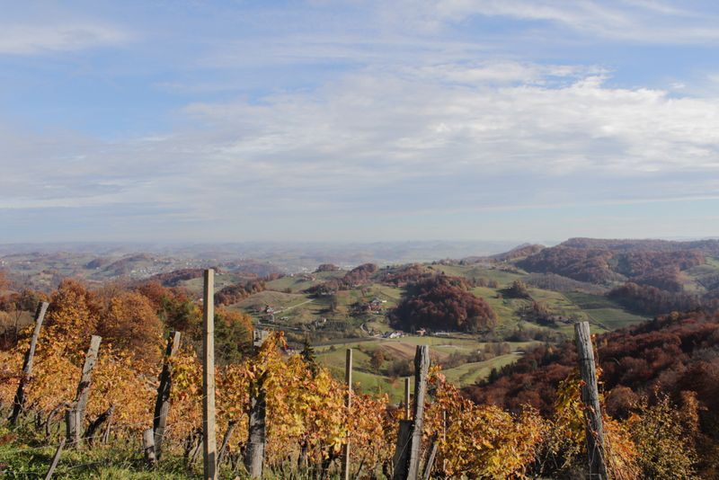 Sv. urban za oš (nov.2015) - foto povečava