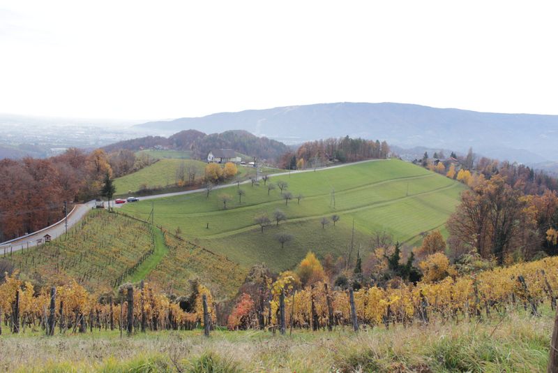 Sv. urban za oš (nov.2015) - foto povečava