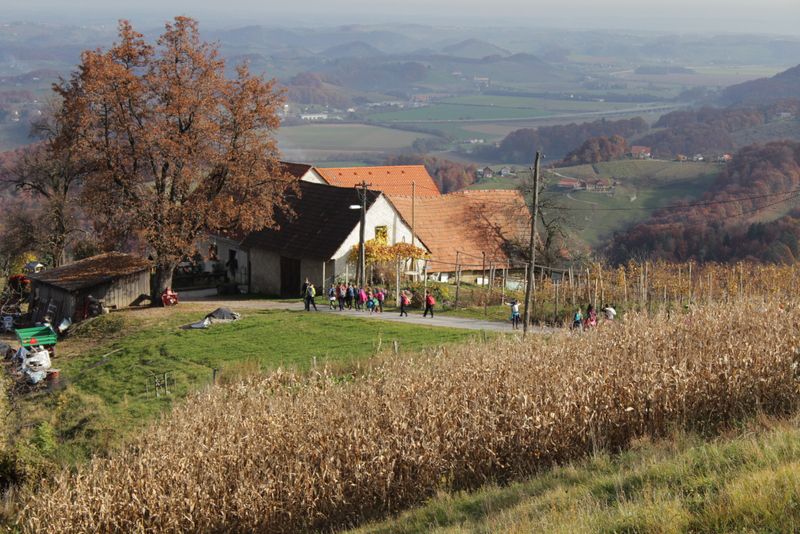 Sv. urban za oš (nov.2015) - foto povečava