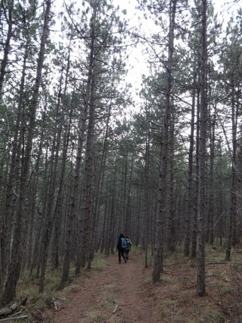 Pohod ob dnevu žena (mar.2016)  - foto