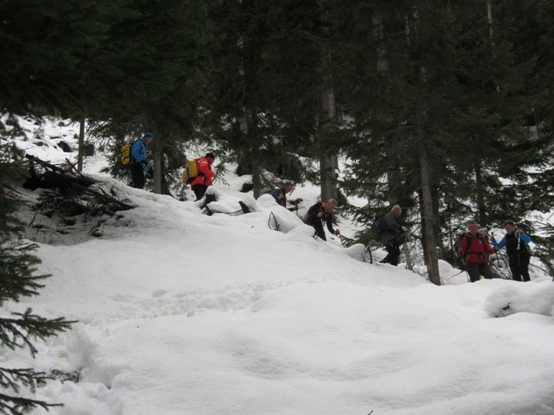 Peca (feb.2016) - foto povečava