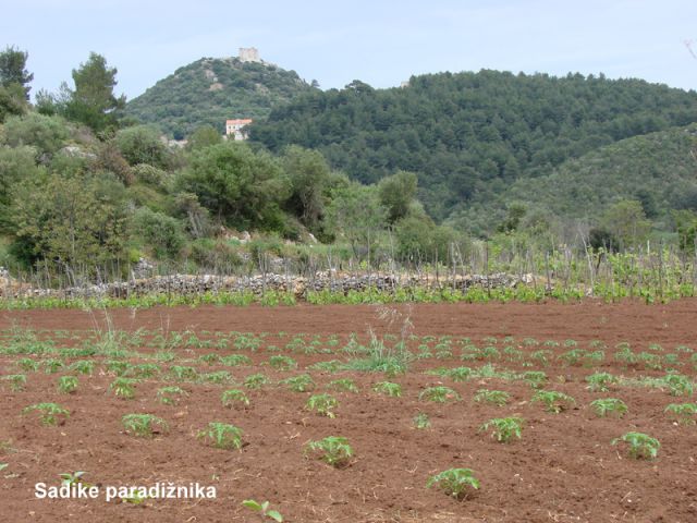 Lastovo (apr.2016 in ogledna t.) - foto