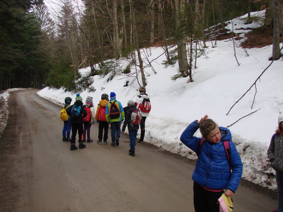 Pohod za OŠ Mariborska Ruška koča (mar.2016) - foto povečava