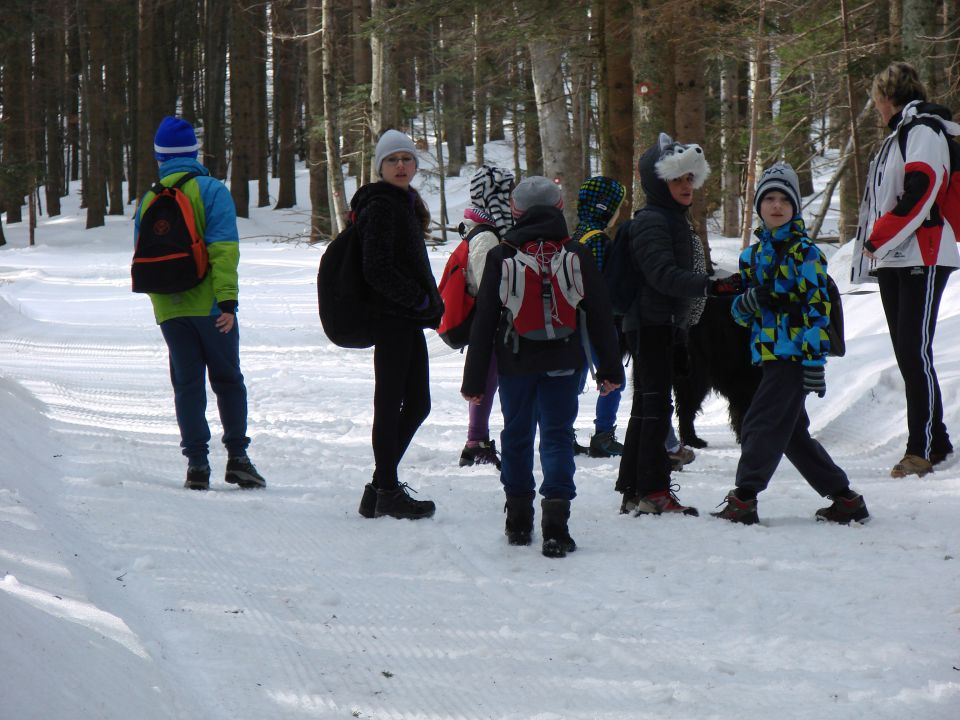 Pohod za OŠ Mariborska Ruška koča (mar.2016) - foto povečava