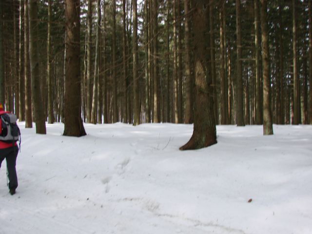 Pohod za OŠ Mariborska Ruška koča (mar.2016) - foto