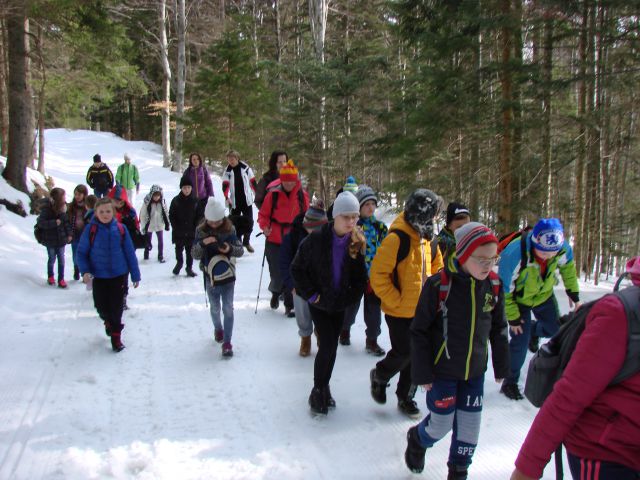 Pohod za OŠ Mariborska Ruška koča (mar.2016) - foto