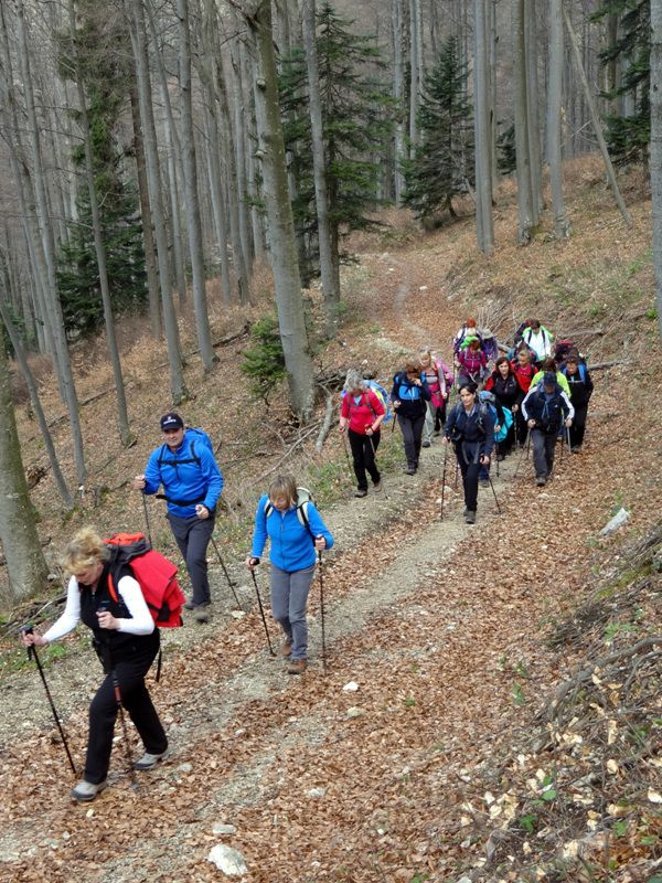 Blegoš (apr.2016+ogledna t.) - foto povečava