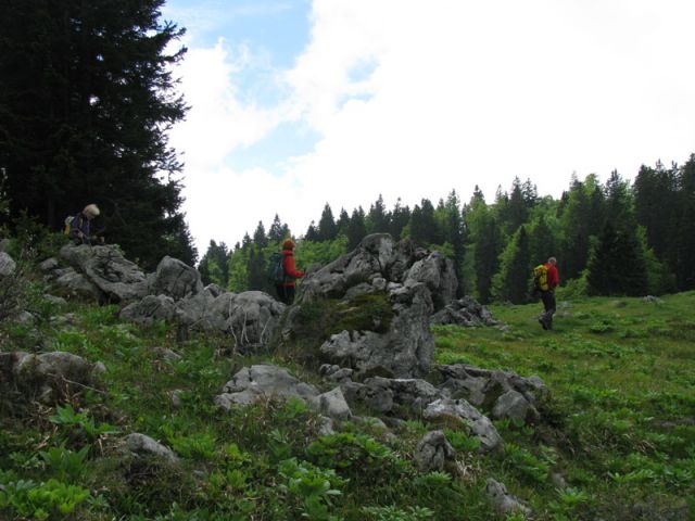 Menina planina (jun.2016) - foto