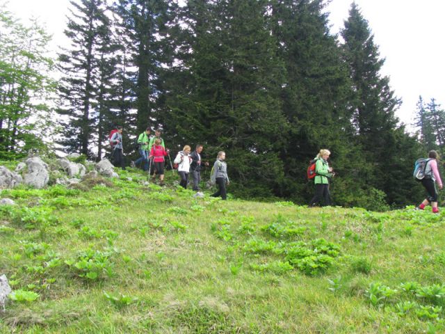 Menina planina (jun.2016) - foto