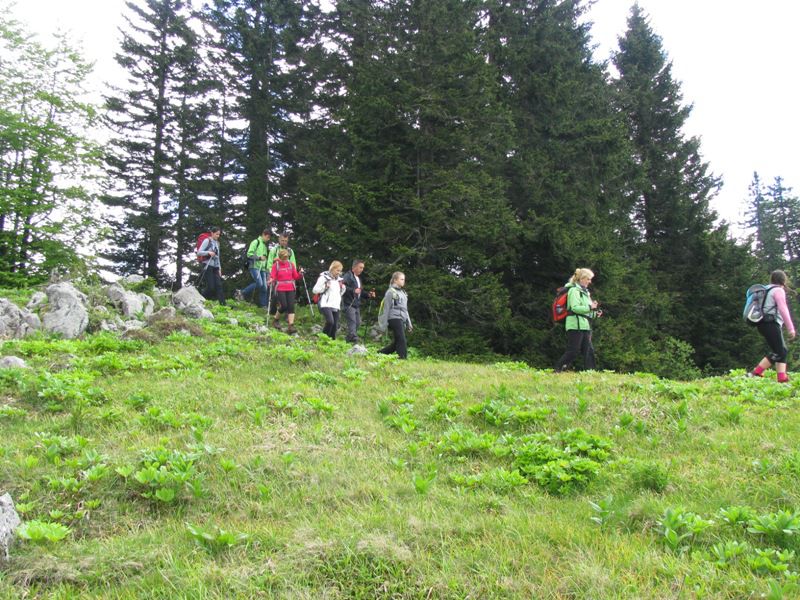 Menina planina (jun.2016) - foto povečava