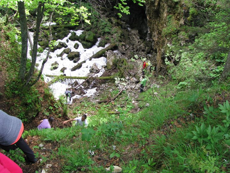 Menina planina (jun.2016) - foto povečava