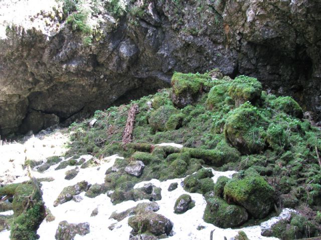 Menina planina (jun.2016) - foto