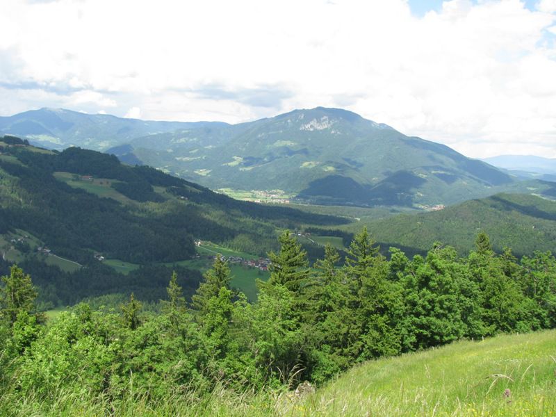 Menina planina (jun.2016) - foto povečava