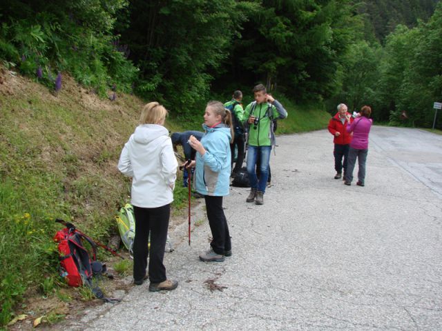 Obir (jun.2016 in ogledna t.) - foto