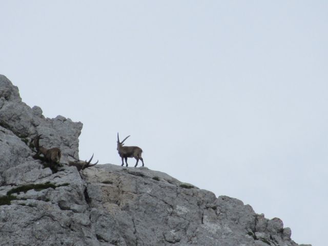 Triglav 16.-17.7.2016 - foto