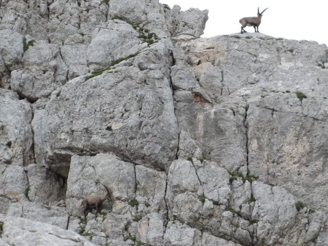 Triglav 16.-17.7.2016 - foto