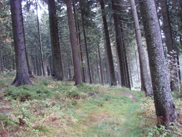 Uršlja gora 22.10.2016 in ogledna tura - foto