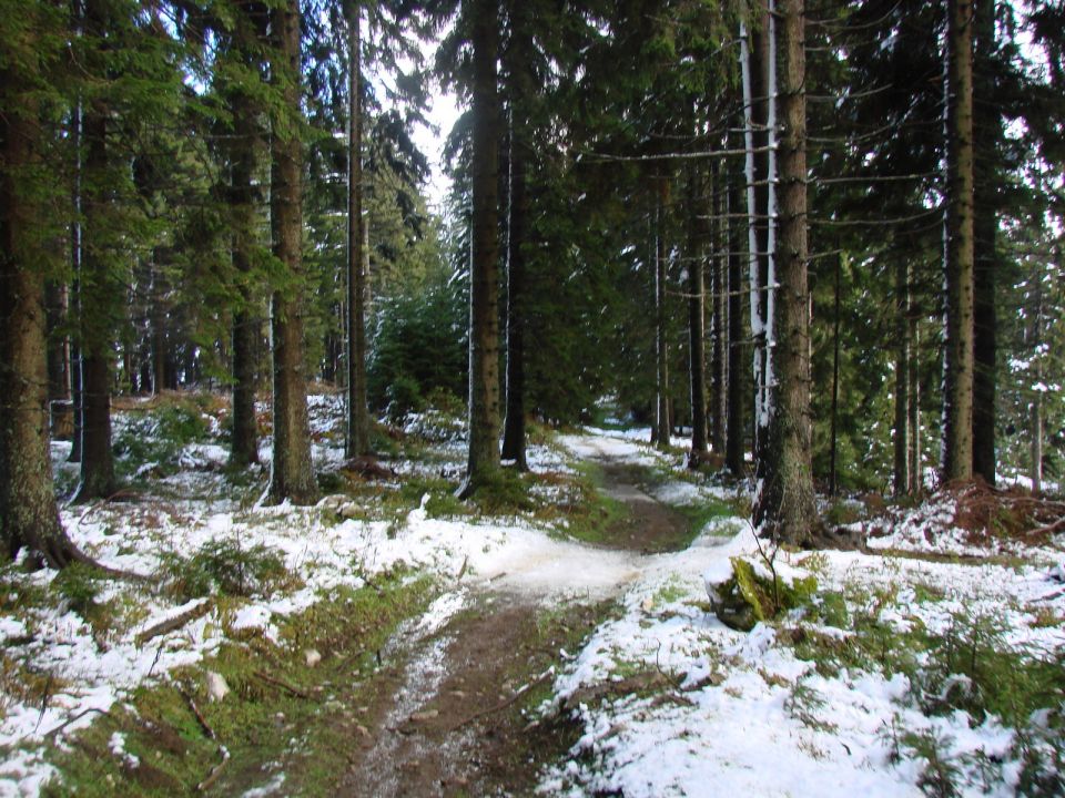 Uršlja gora 22.10.2016 in ogledna tura - foto povečava