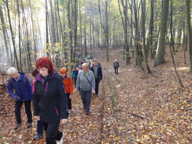 Pohod ob prazniku občine lenart 29 okt. 2016 - foto