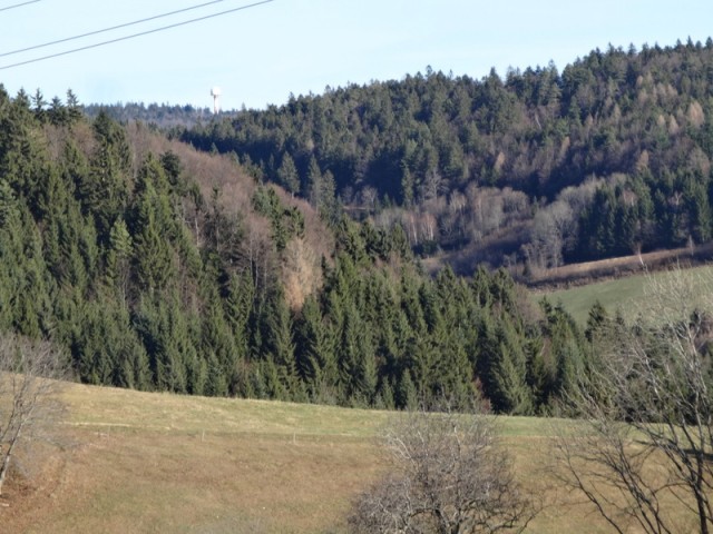 Zaključni pohod pohorje (dec.2016) - foto