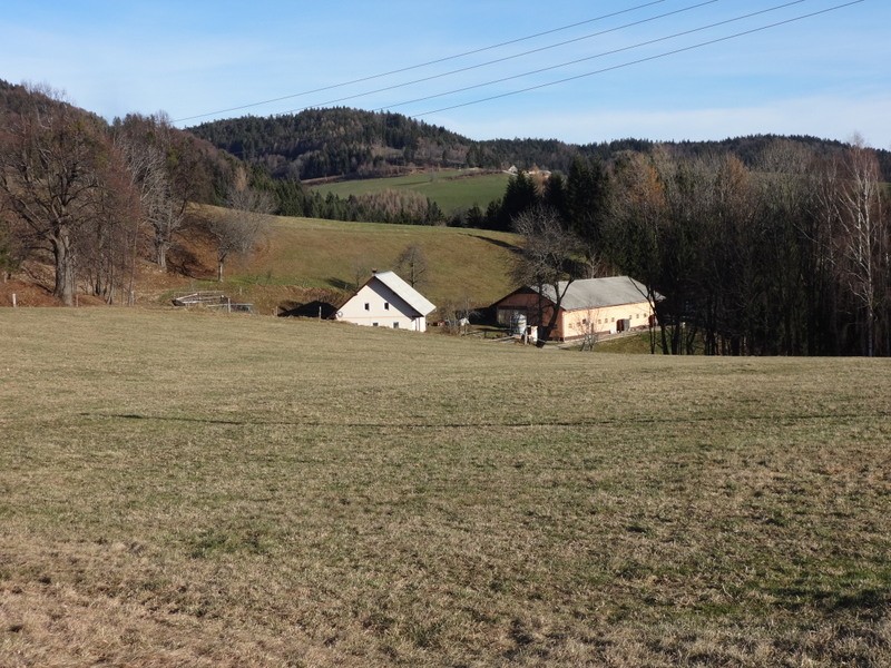 Zaključni pohod pohorje (dec.2016) - foto povečava