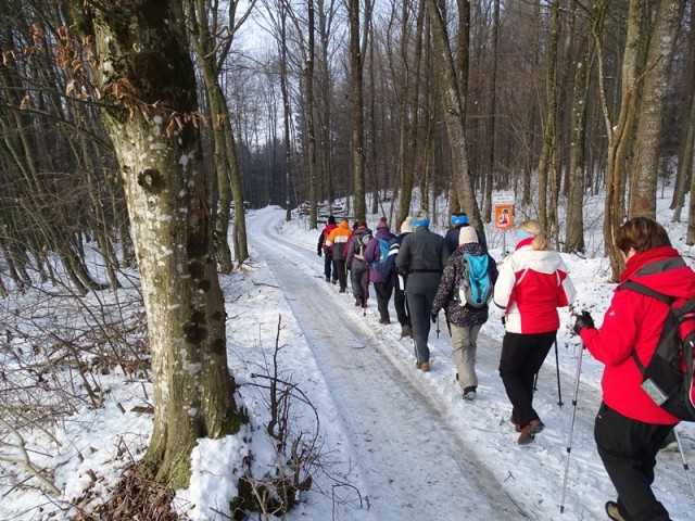 PPP negova-sv. jurij ob ščavnici (jan.2017 ) - foto