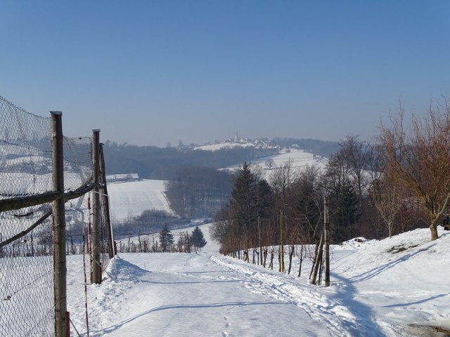 PPP negova-sv. jurij ob ščavnici (jan.2017 ) - foto