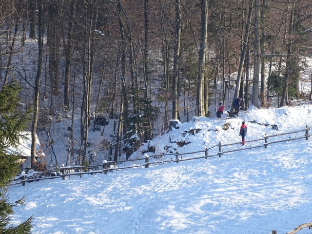 PPP negova-sv. jurij ob ščavnici (jan.2017 ) - foto