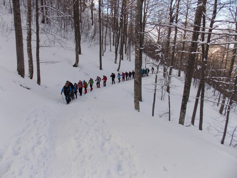 Snežnik (feb.2017 + ogled.t.) - foto povečava