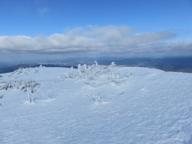 Snežnik (feb.2017 + ogled.t.) - foto