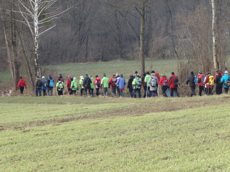 Ljutomer-jeruzalem (feb.2017) - foto povečava