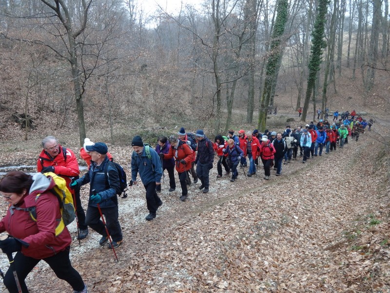 Ljutomer-jeruzalem (feb.2017) - foto povečava