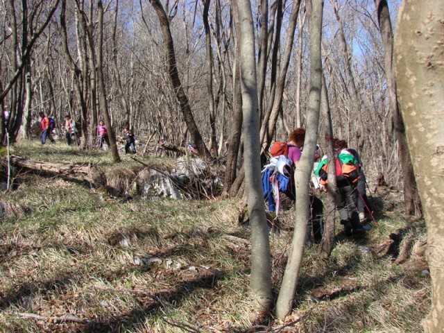 Pohod ob dnevu zena (mar.2017+ogl.t.) - foto